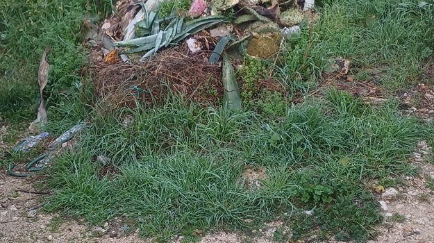 KASTAVSKA UL. ZELENI OTPAD