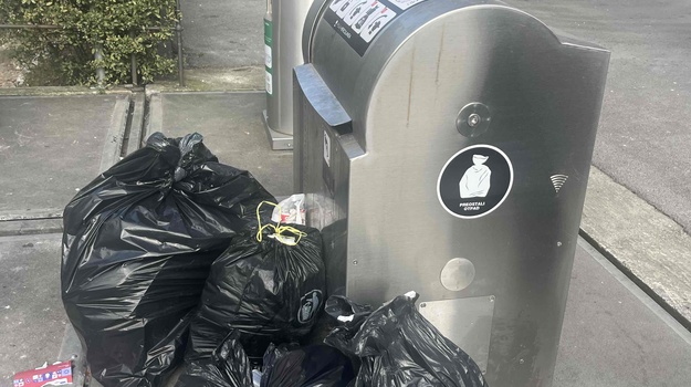 UL. GIARDINI ILEGALNI OTPAD