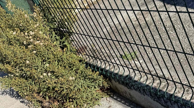 UL. JURJA ŽAKNA KOŠNJA