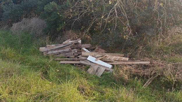 PUT OD FORTICE JAVNI RED I MIR