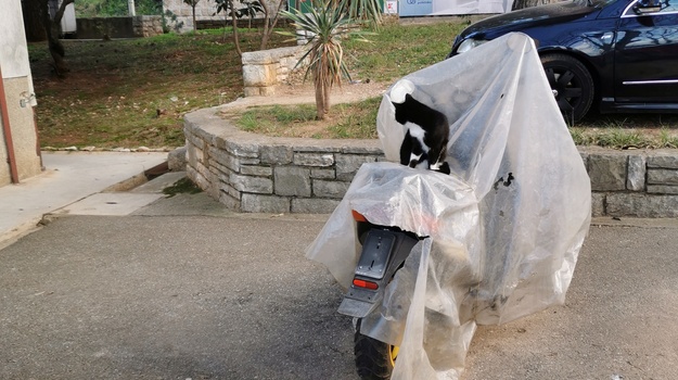 Parkiranje neregistriranog motornog vozila