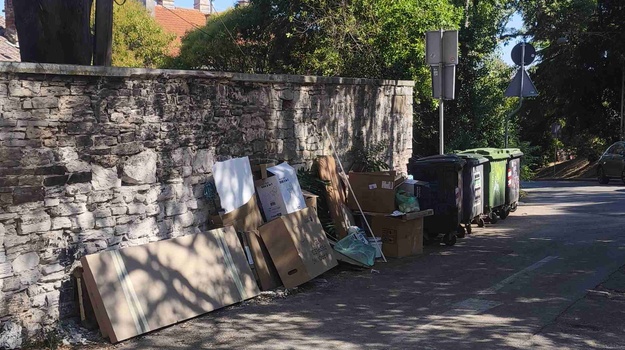 BOŠKOVIĆEV USPON ILEGALNI/GLOMAZNI OTPAD