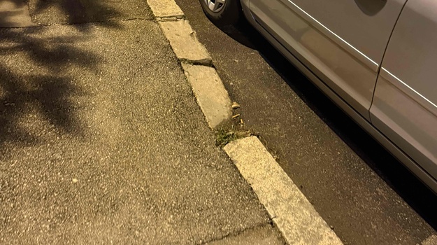 FLAVIJEVSKA UL. SANIRANJE RUBNJAKA