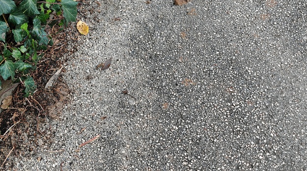 KUMIČIĆEVA UL. OTPAD, ČIŠĆENJE ULICE I PRIJEDLOG POSTAVE URBANO-KOMUNALNE OPREME