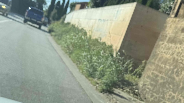 FAŽANSKA CESTA KOŠNJA