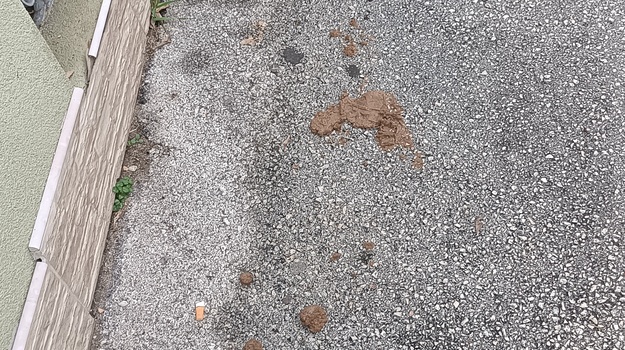 STANKOVIĆEVA UL. OTPAD