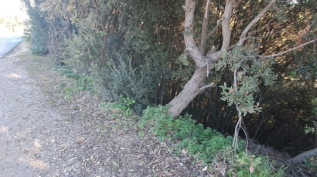 UL. FOJBA UREĐENJE I OSIGURANJE SIGURNOSTI PODRUČJA