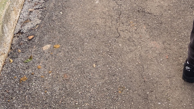 MO KAŠTANJER NEODGOVORNOST VLASNIKA PASA