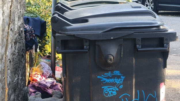 BOŠKOVIĆEV USPON ILEGALNI OTPAD