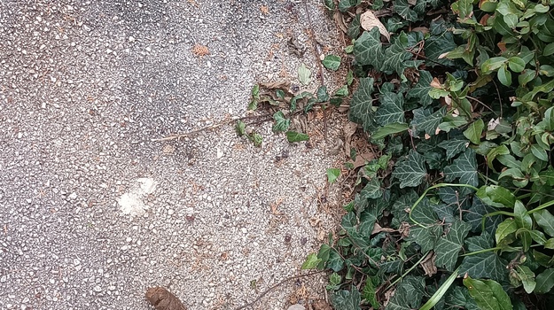 KUMIČIĆEVA UL. OTPAD