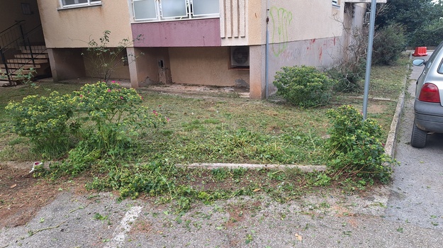 VOLTIĆEVA UL. PRIGOVOR NA OREZIVANJE CVIJEĆA