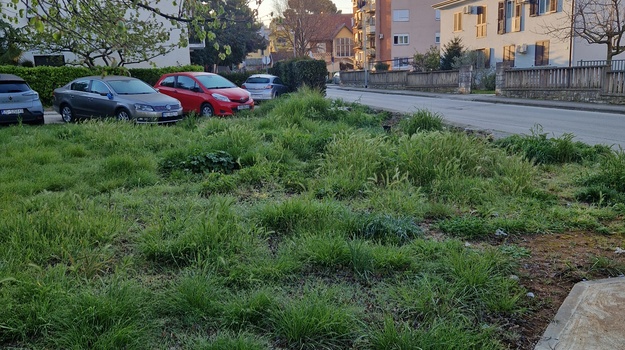 ZORANIĆEVA UL. KOŠNJA