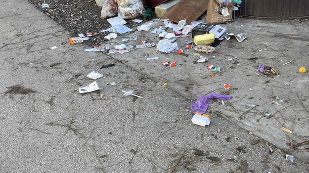 TRG I. ISTARSKE BRIGADE ILEGALNI OTPAD