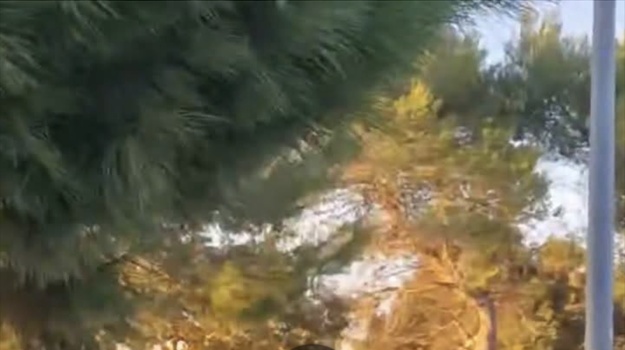 PLAŽA HIDROBAZA POSTAVA BARIJERA PROLASKA