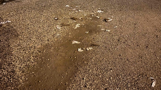 UL. 119. BRIGADE OTPAD