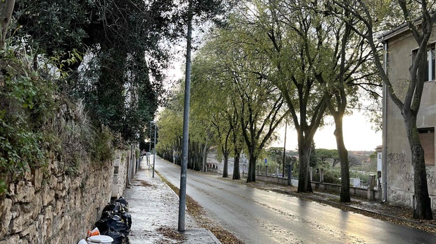 MUTILSKA UL. ILEGALNI OTPAD