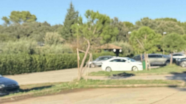 PARKIRALIŠTE VERUDELA ISPRAVLJANJE NAGNUTIH STABALA