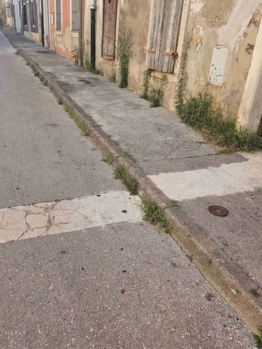 NEZAKCIJSKA