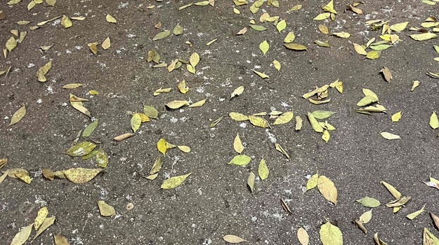 UL. GIARDINI ČIŠĆENJE POVRŠINA