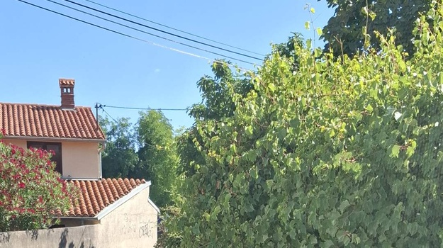 JAPODSKA UL. SUŽENJE PROMETNICE