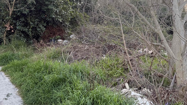 BASTIANOVA UL. ZELENI OTPAD