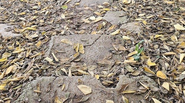 NAZOROVA UL. SANIRANJE STEPENICA