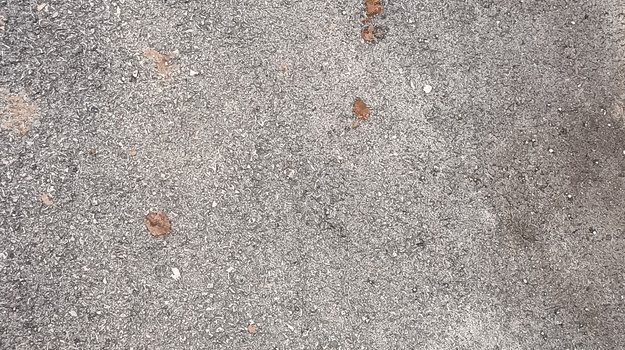 MO KAŠTANJER NEODGOVORNO PONAŠANJE VLASNIKA PASA