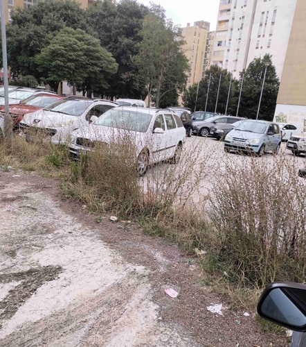 VOLTIĆEVA
