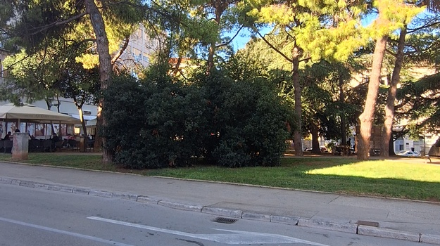 PARK KRALJA PETRA KREŠIMIRA OREZIVANJE GRMA