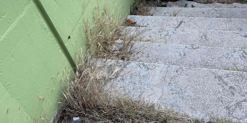 PAZINSKA UL. UREĐENJE JAVNE POVRŠINE