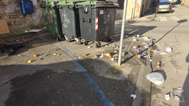 DOBRICHEVA UL. ILEGALNI OTPAD