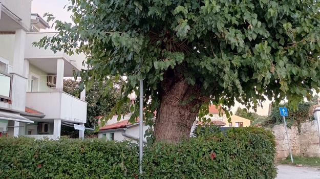 VALDEBEČKI PUT IZMJEŠTANJE VERTIKALNE SIGNALIZACIJE