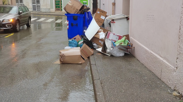 DOBRICHEVA UL. ILEGALNI/GLOMAZNI OTPAD