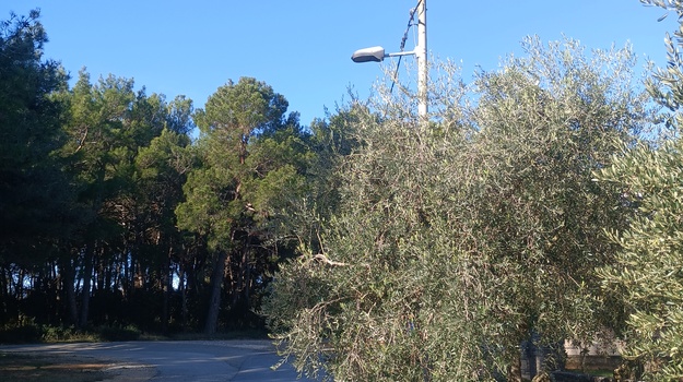 VIDRIJANSKI PUT/VALMARINSKI PUT JAVNA RASVJETA