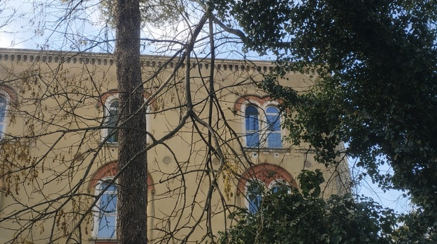 NEGRIJEVA UL. OPASNOST OD PADA GRANE