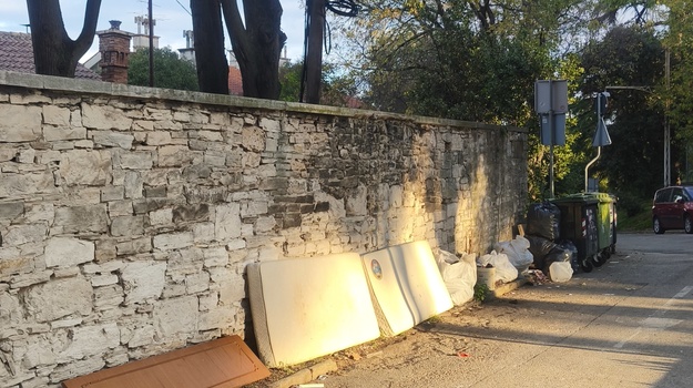 BOŠĐKOVIĆEV USPON ILEGALNI OTPAD