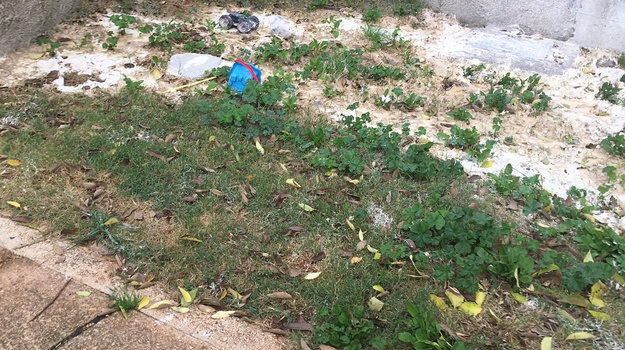 VOLTIĆEVA UL. OŠTEĆENJE ZELENE POVRŠINE