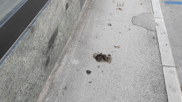 DOBRICHEVA UL. OTPAD