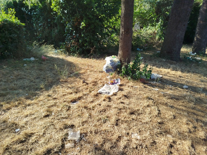 Valovine