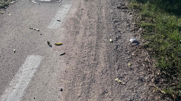 CESTA PREKOMORSKIH BRIGADA ČIŠĆENJE BICIKLISTIČKE STAZE