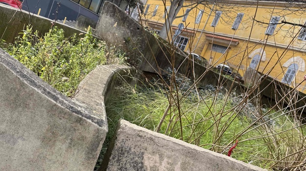 DALMATIONVA UL. UREĐENJE ZELENE POVRŠINE