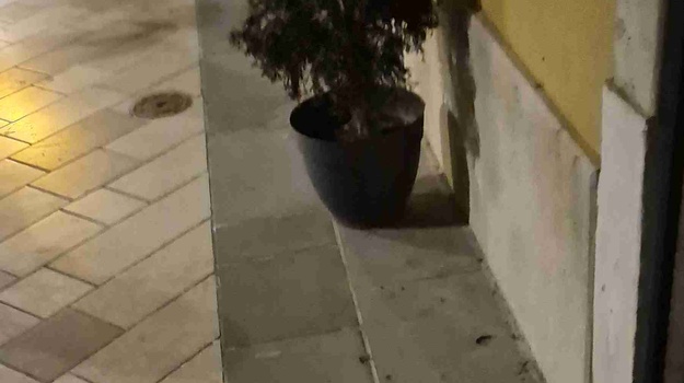 MAKSIMIJANOVA UL. ZAUZIMANJE JAVNE POVRŠINE