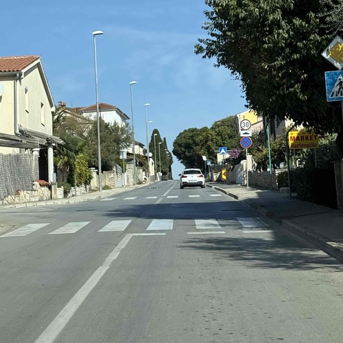 PARTIZANSKI