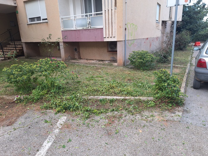 VOLTIĆEVA