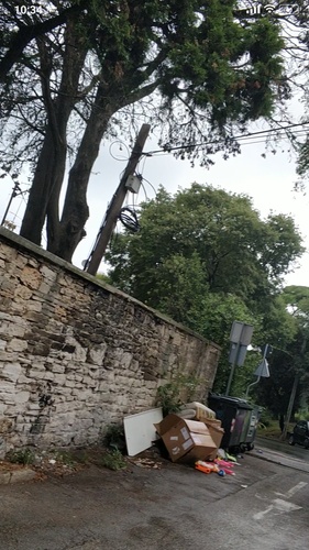 BOŠKOVIĆEV