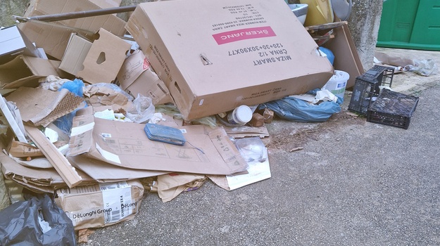 ZORANIĆEVA UL. ILEGALNI/GLOMAZNI OTPAD