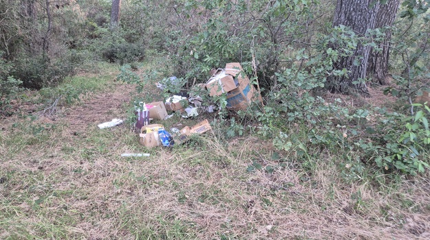 PARK ŠUMA BUSOLER ILEGALNI/GLOMAZNI OTPAD