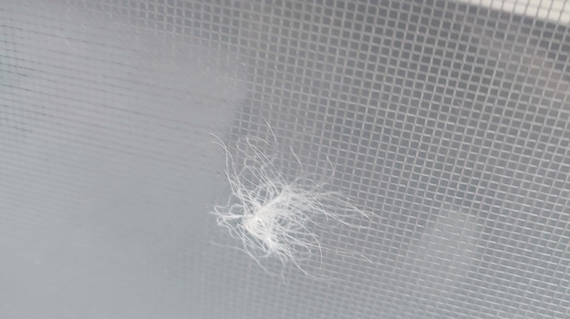 GUNDULIĆEVA UL. JAVNI RED I MIR