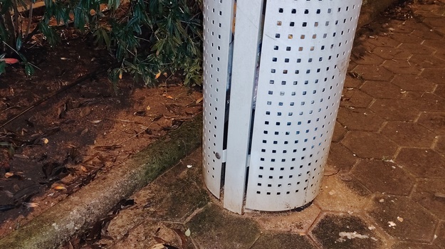 ZLATIĆEV TRG UKLANJANJE LEŠINE