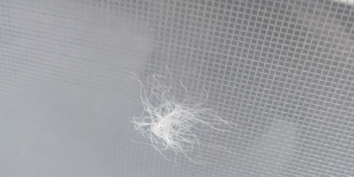 GUNDULIĆEVA UL. JAVNI RED I MIR